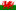 Welsh Flag